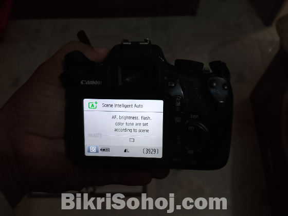 1300D with 55mm prime lens